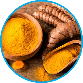 venus-factor™-ingredient3-himalayan-turmeric